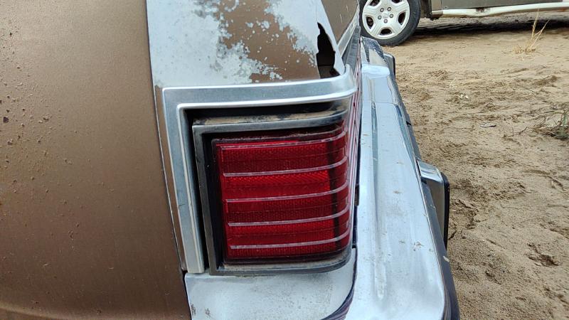 1981 Malibu Quarter Panel Moulding LH