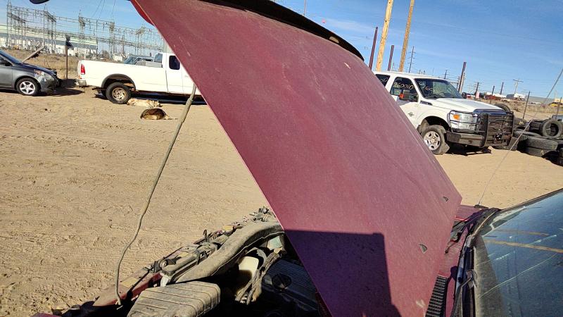 1993-1997 Nissan Pickup Hood