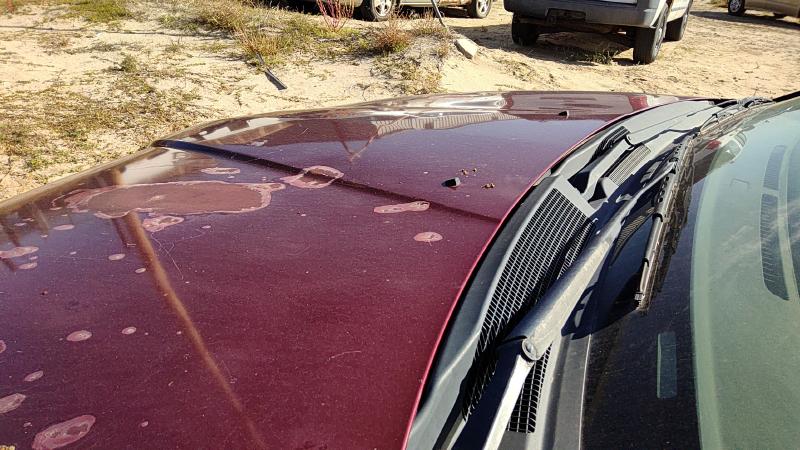 2004-2008 Mitsubishi Galant Hood