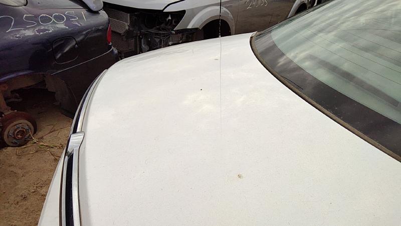 2000-2005 Sable (mercury) Trunk/Decklid/Hatch/Tailgate