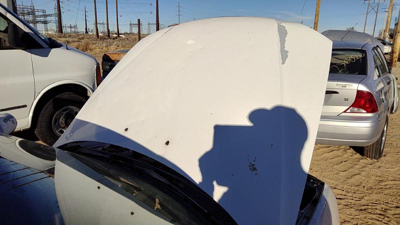 2001-2003 Hyundai Elantra Hood