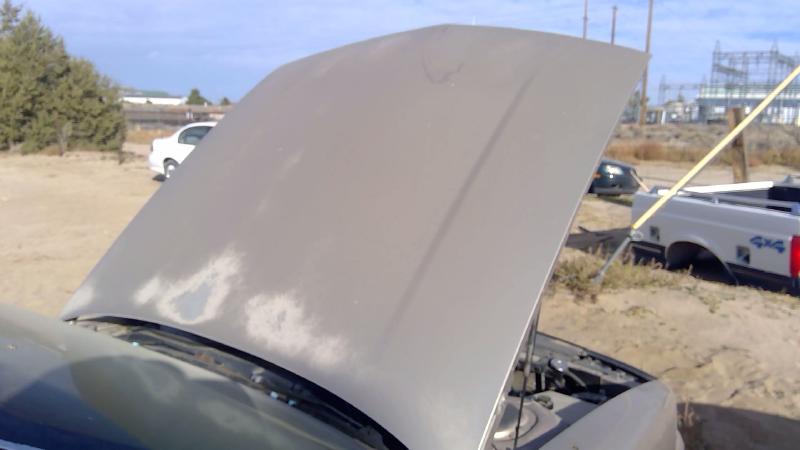 1991-1999 Oldsmobile Eighty-eight (80 & Up) Hood