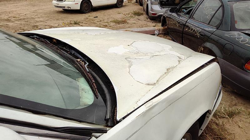 1997-2005 Buick Park Avenue (80&up) Hood