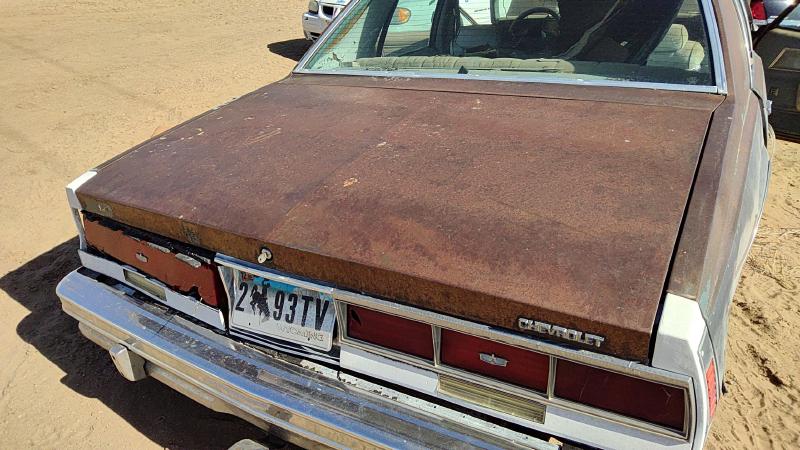 1977-1979 Chevrolet (full Size) Trunk/Decklid/Hatch/Tailgate
