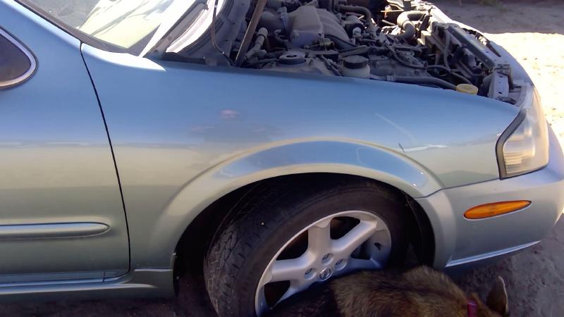 2000-2003 Nissan Maxima Fender RH