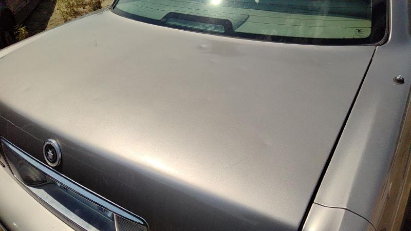 1994-1999 Cadillac Deville (80 & Up) Trunk/Decklid/Hatch/Tailgate