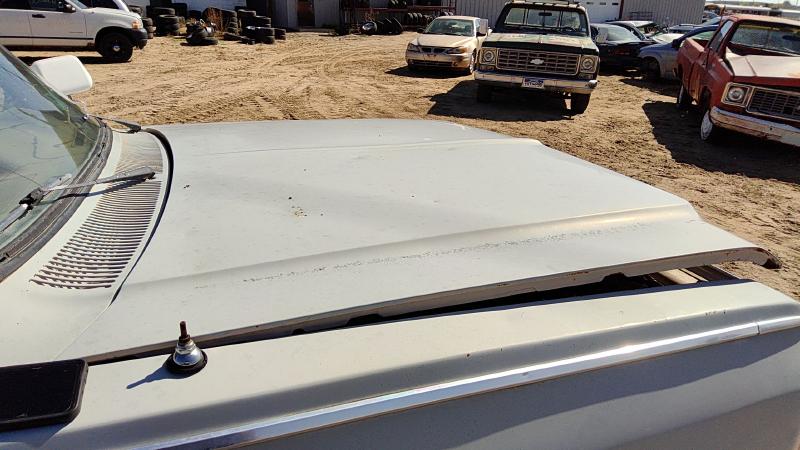 1981-1993 Dodge Pickup 350 Series Hood