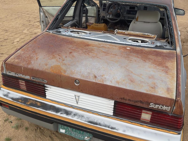 1982-1989 Pontiac P2000 (82-84) Trunk/Decklid/Hatch/Tailgate