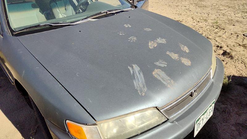 1996-1997 Honda Accord Hood