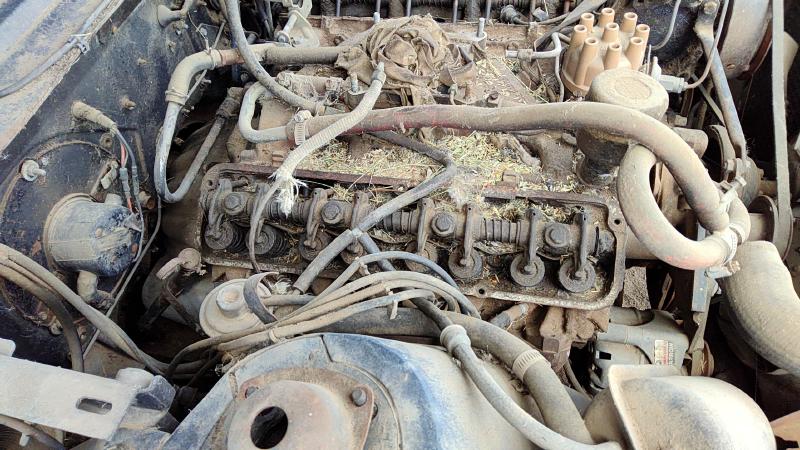 1970-2069 Thunderbird Cylinder Head