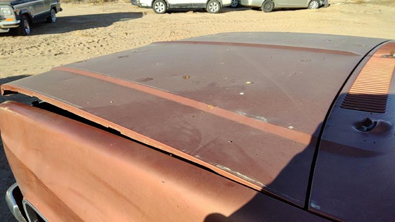 1981-1991 Chevrolet Pickup 30 Series Hood