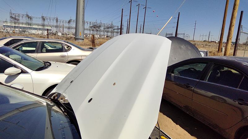 2015-2018 Ford Focus Not RS Hood