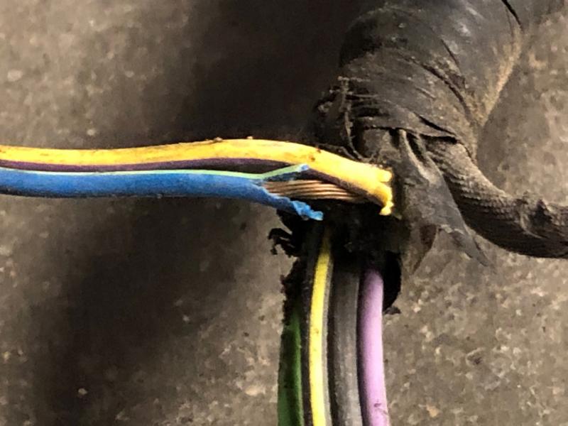 2006 Mercury Mountaineer Wire Harness (Engine)