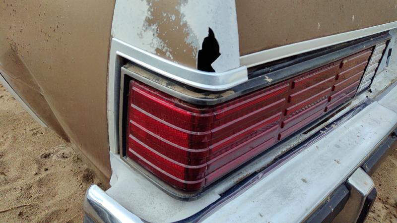 1981 Malibu Quarter Panel Moulding LH