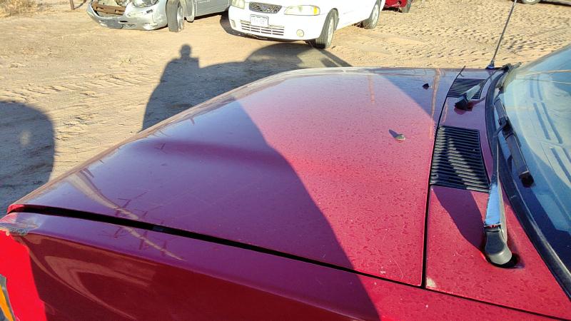 1993-1997 Nissan Pickup Hood