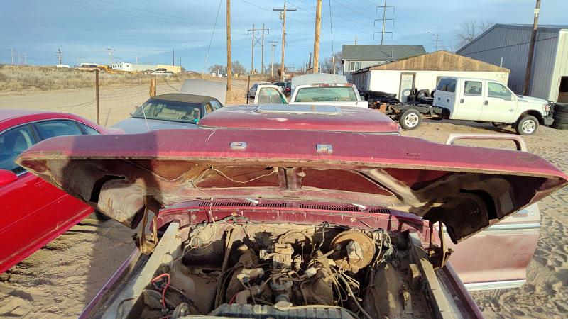 1973-1979 Ford Pickup F150 Series Hood