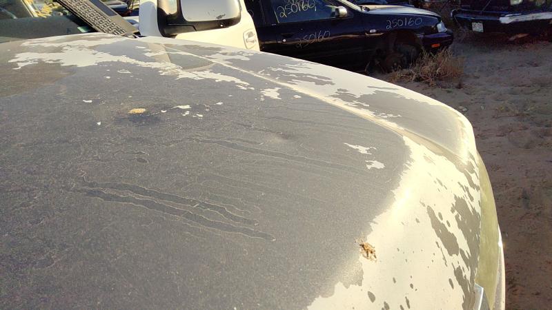 2005-2007 Chevrolet 2500 Silverado Pickup Hood