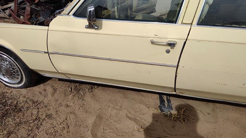 1980-1989 Cadillac Deville (80 & Up) Front Door LH