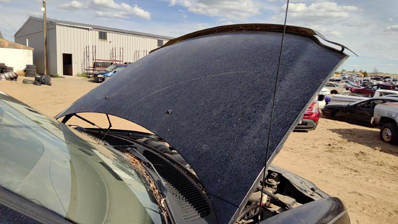 1997-2004 Ford Pickup F150 Series Hood